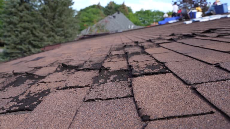 Best Cold Roofs  in Central, SC